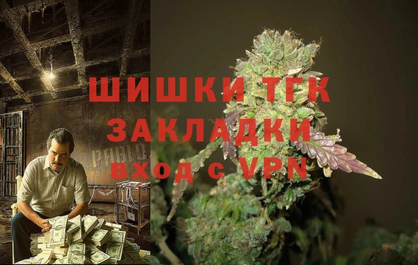 крисы Аркадак