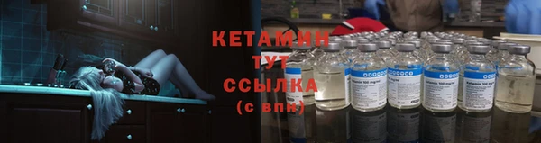крисы Аркадак