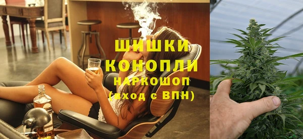 крисы Аркадак