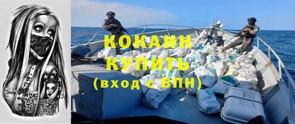 крисы Аркадак