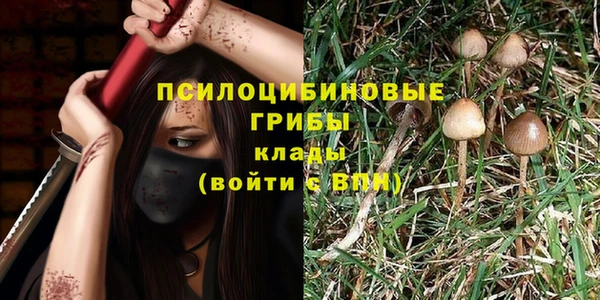 крисы Аркадак