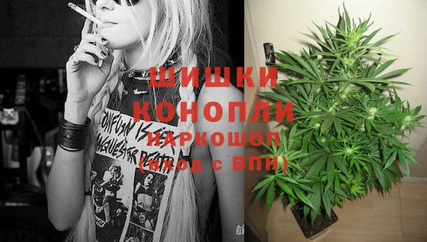 крисы Аркадак