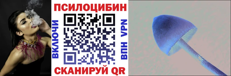 Галлюциногенные грибы GOLDEN TEACHER  Няндома 